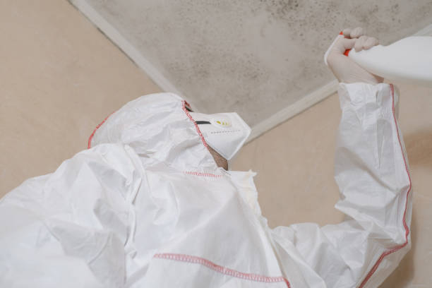 Crawl Space Mold Removal in Banks Springs, LA